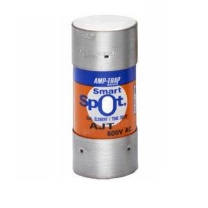 Gould Shawmut AJT250 Class J Fuse – 600V 250A, In Stock, Same Day Ship